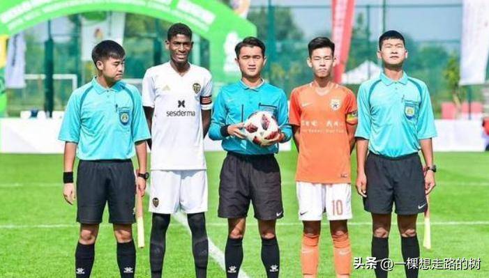 米兰体育:中国足球留洋球员的文化适应与职业发展:基于扎根理论的简单介绍 米兰体育:中国足球留洋球员的文化适应与职业发展:基于扎根理论的简单介绍