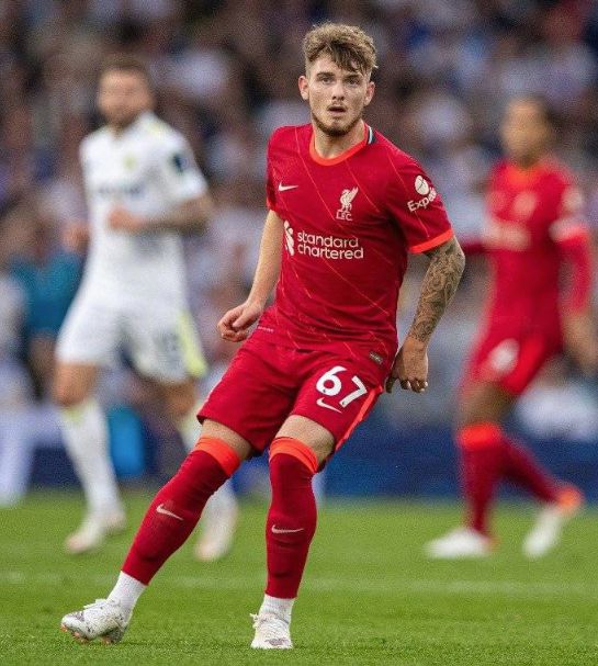 米兰体育:英超球队的新宠：新星球员的崛起的简单介绍