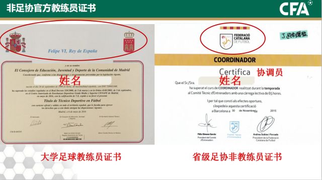 包含米兰体育:中国足球青训教练员胜任力模型构建与评估：基于行为事件访谈法的词条